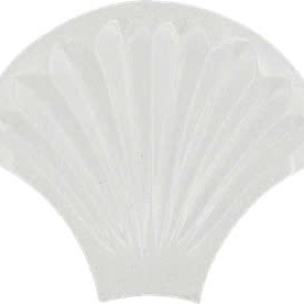 GẠCH 3D VỎ SÒ